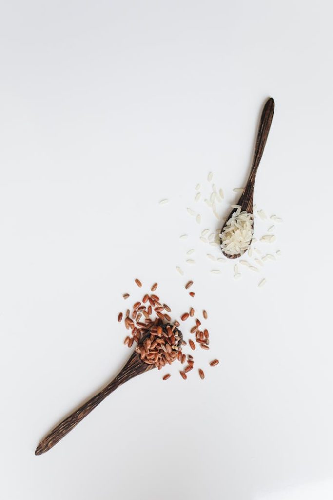 Top-down view of uncooked white and brown rice on wooden spoons, isolated on white.